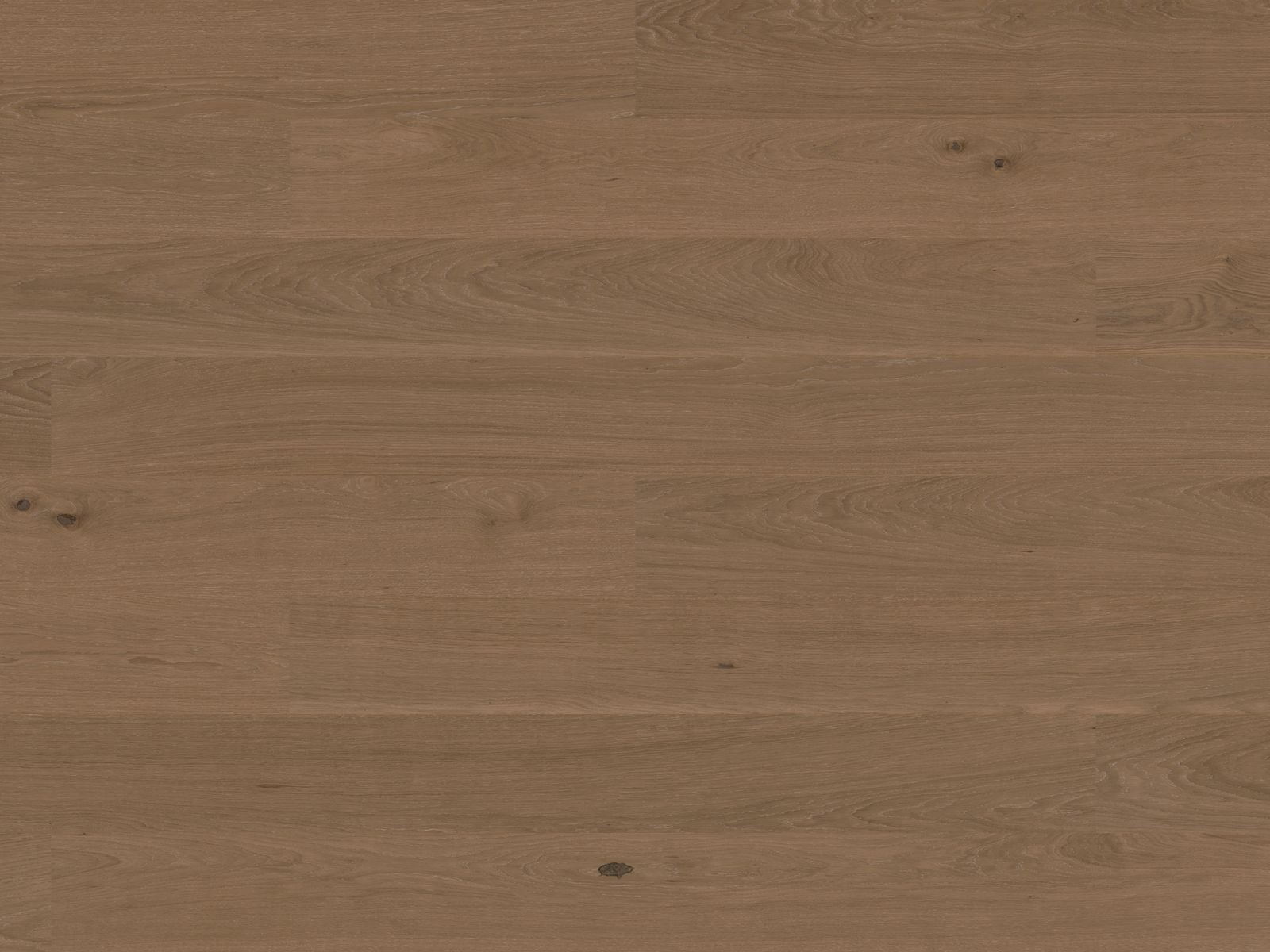 Bjelin Woodura Planks HYLTA 3.0 XL Desert — Hardened wood flooring selection with LeviArs Design & Remodeling