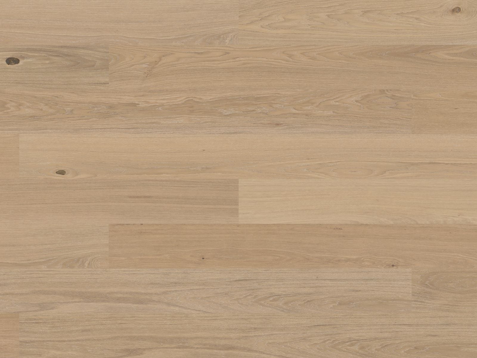 Bjelin Woodura Planks IMMELN 3.0 XL Ivory — Hardened wood flooring selection with LeviArs Design & Remodeling