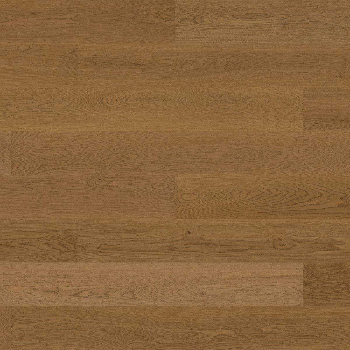 Bjelin Woodura Planks TULLSTORP 3.0 XXL Terra Brown — Hardened wood flooring selection with LeviArs Design & Remodeling