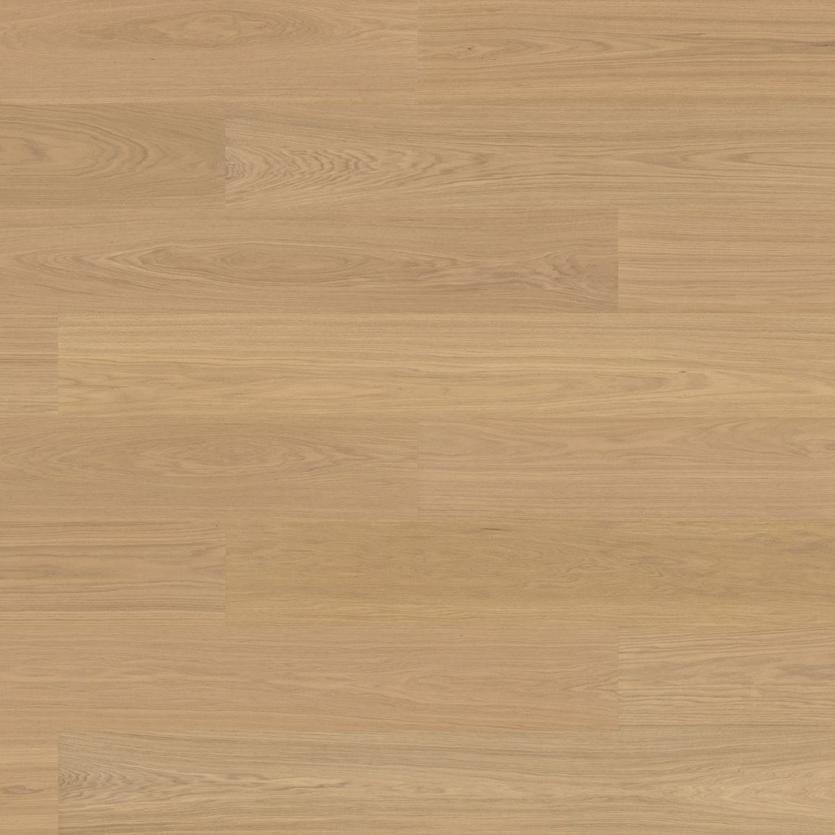 Bjelin Woodura Planks VEJBY 3.0 XXL Misty White — Hardened wood flooring selection with LeviArs Design & Remodeling
