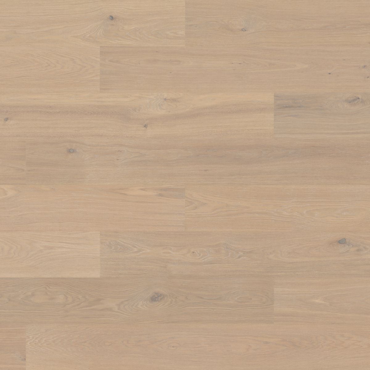 Bjelin Woodura Planks VIARP 3.0 XXL Powder White — Hardened wood flooring selection with LeviArs Design & Remodeling