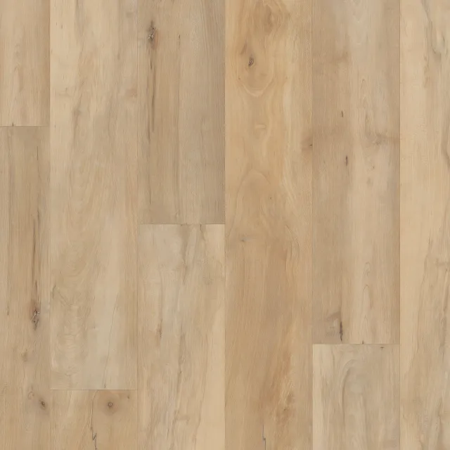 COREtec Brookfield Maple · VV800-04039 — flooring selection with LeviArs Design & Remodeling