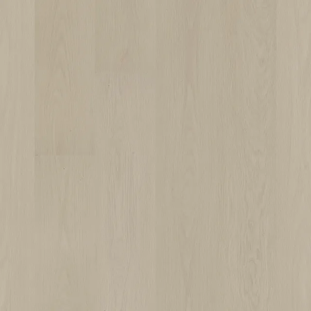 COREtec Delicate Oak · VV880-01031 — flooring selection with LeviArs Design & Remodeling