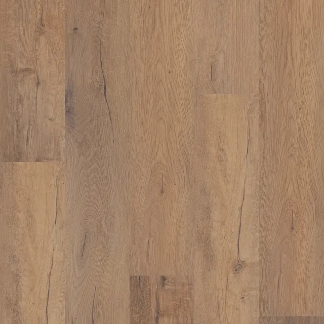 COREtec Sand Dollar Oak · VV810-05024 — flooring selection with LeviArs Design & Remodeling