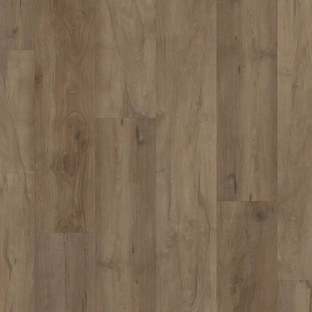 COREtec Warwick Maple · VV800-03023 — flooring selection with LeviArs Design & Remodeling
