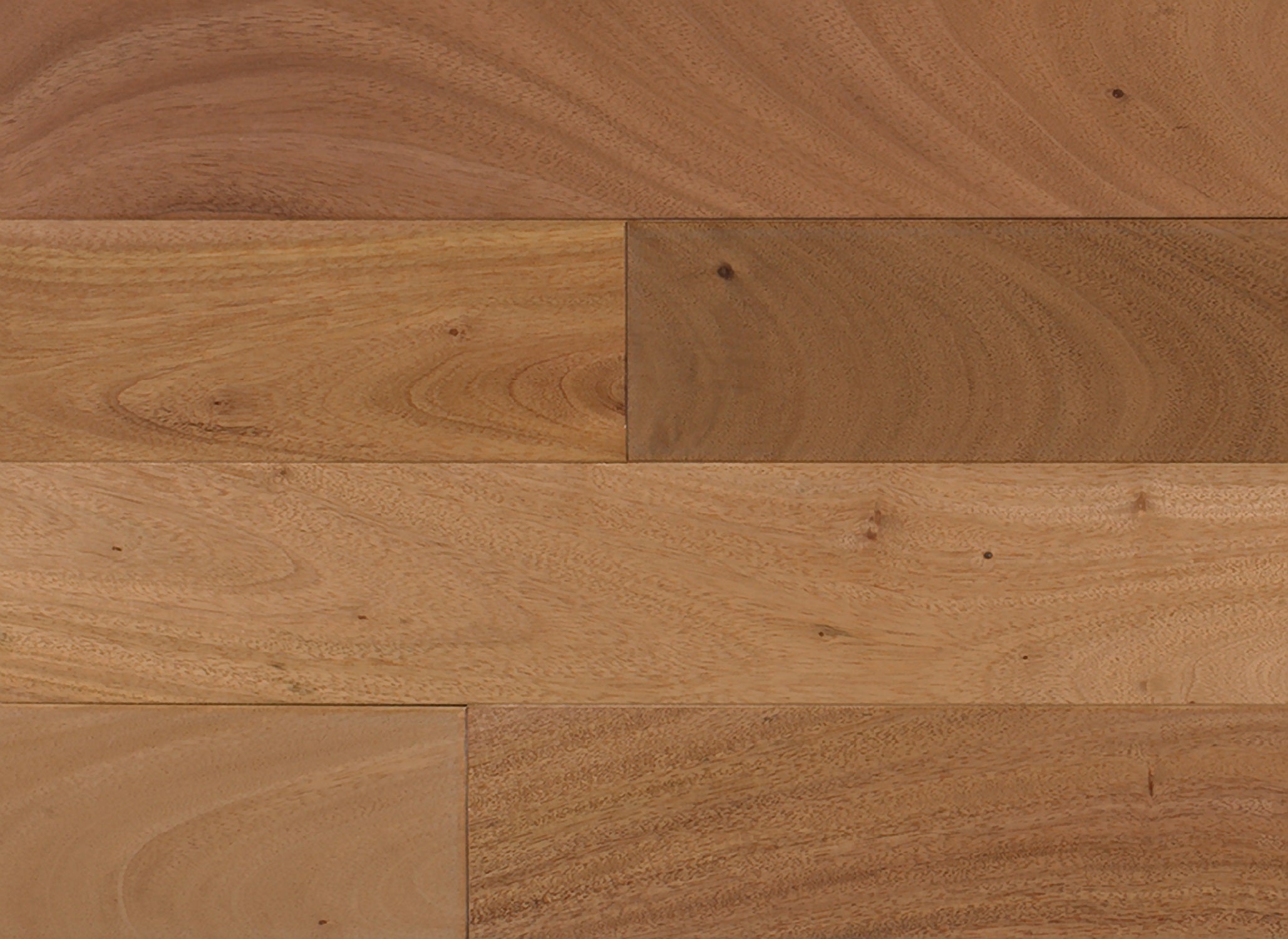 Indusparquet Amendoim Natural · AME12100 — Engineered hardwood flooring selection with LeviArs Design & Remodeling