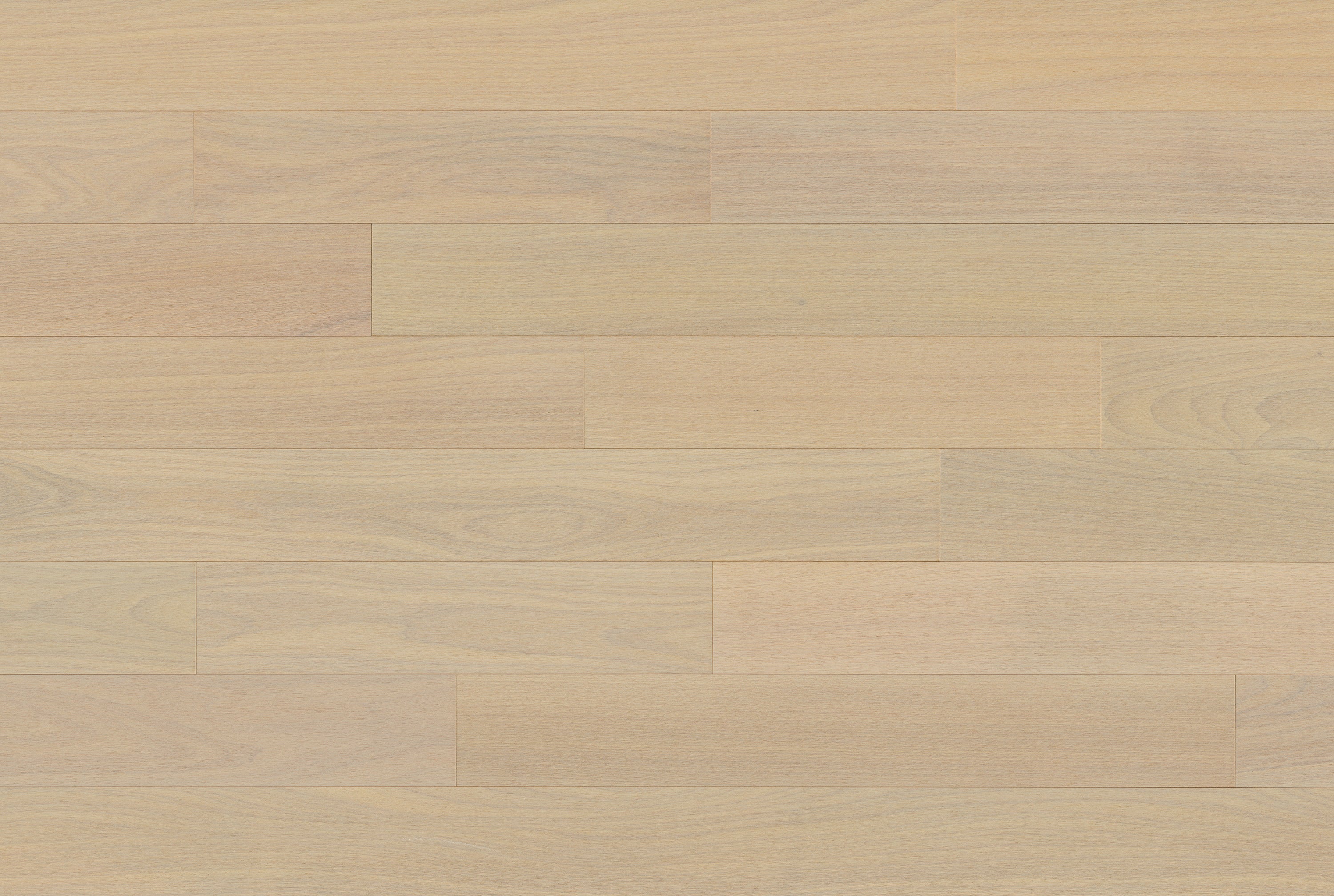 Indusparquet Brazilian Oak (Tauari) South Beach · BO58WB505 — Engineered hardwood flooring selection with LeviArs Design & Remodeling