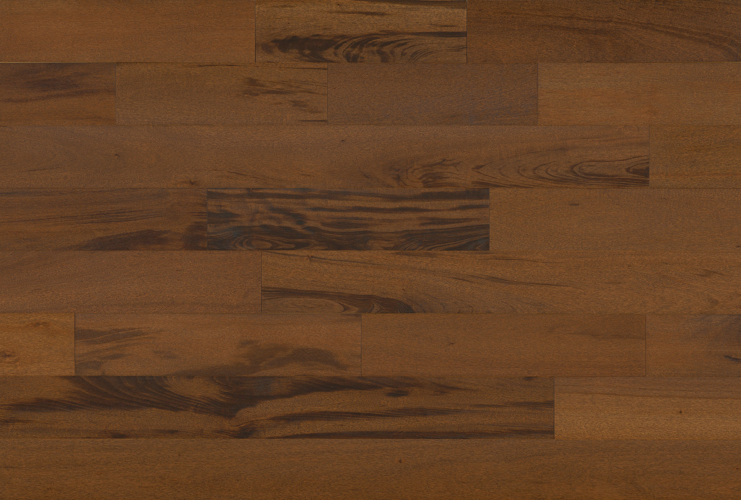 Indusparquet Tigerwood (Muiracatiara) Chocolate · TW58WB501 — Engineered hardwood flooring selection with LeviArs Design & Remodeling