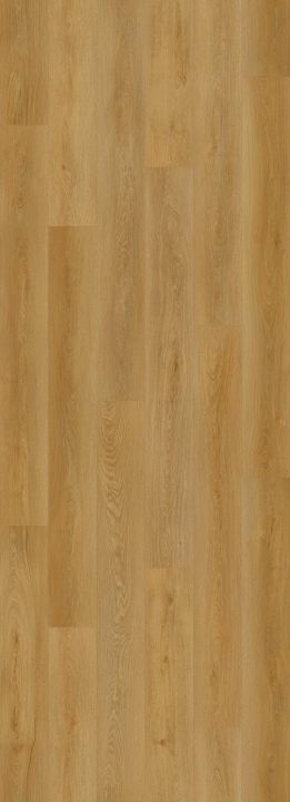 Lions Floor Biscotti Oak · BB-XV — flooring selection with LeviArs Design & Remodeling