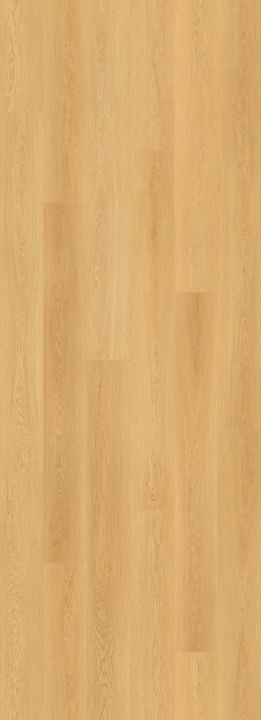 Lions Floor Profile Edge · LI-BM04 — flooring selection with LeviArs Design & Remodeling