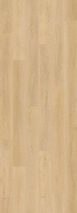 Lions Floor Shadow Reveal · LI-BM02 — flooring selection with LeviArs Design & Remodeling