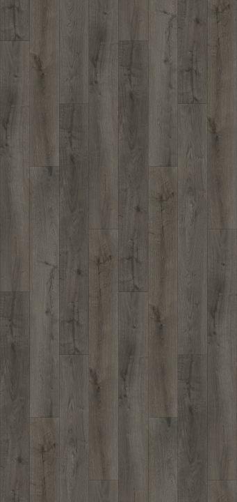 Lions Floor Bellevue · LI-DT09 — Luxury vinyl plank flooring selection with LeviArs Design & Remodeling