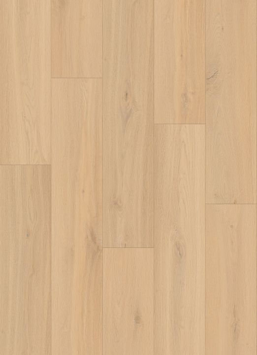 Lions Floor Naperville · LI-DM07 — Luxury vinyl plank flooring selection with LeviArs Design & Remodeling