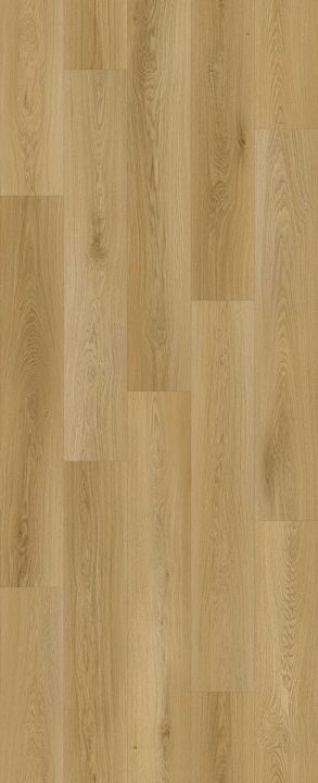 Lions Floor Elm Terrace · LI-HH05 — Laminate flooring selection with LeviArs Design & Remodeling