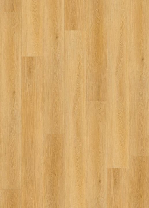Lions Floor Endless Plains · LI-LR02 — Luxury vinyl plank flooring selection with LeviArs Design & Remodeling