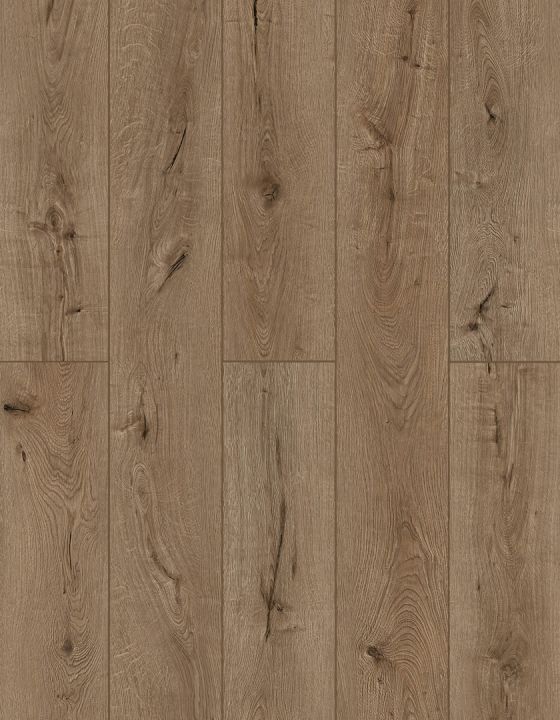 Lions Floor Forgotten Bark · LI-TS205 — Luxury vinyl plank flooring selection with LeviArs Design & Remodeling