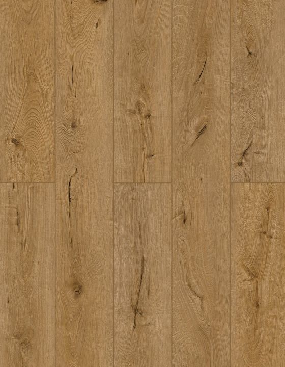 Lions Floor Oak Dry-Aged · LI-TS204 — Luxury vinyl plank flooring selection with LeviArs Design & Remodeling
