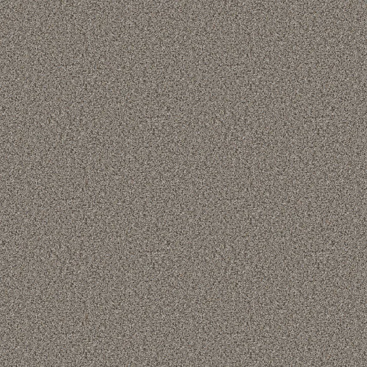 Shaw Floors Abilene I — Powerful · 5E821-00573 — flooring selection with LeviArs Design & Remodeling