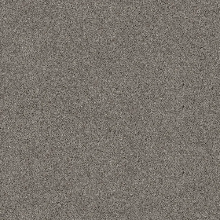 Shaw Floors Abilene II — Powerful · 5E822-00573 — flooring selection with LeviArs Design & Remodeling