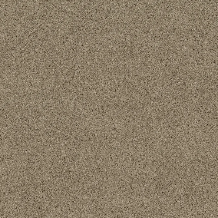 Shaw Floors Acadia Park — Canoe · ZZ044-00773 — flooring selection with LeviArs Design & Remodeling