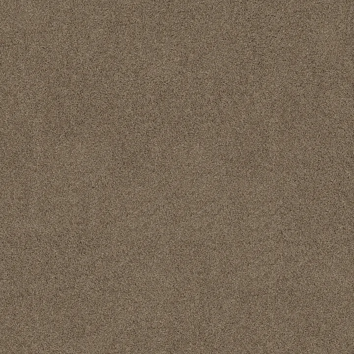 Shaw Floors Acadia Park — Canyon Trail · ZZ044-00775 — flooring selection with LeviArs Design & Remodeling