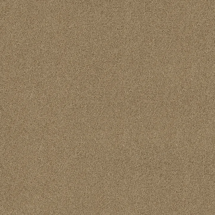 Shaw Floors Acadia Park — Caramelo · ZZ044-00275 — flooring selection with LeviArs Design & Remodeling