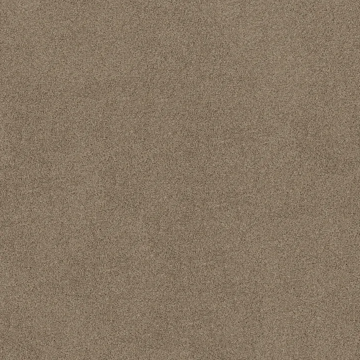 Shaw Floors Acadia Park — Caribou · ZZ044-00756 — flooring selection with LeviArs Design & Remodeling
