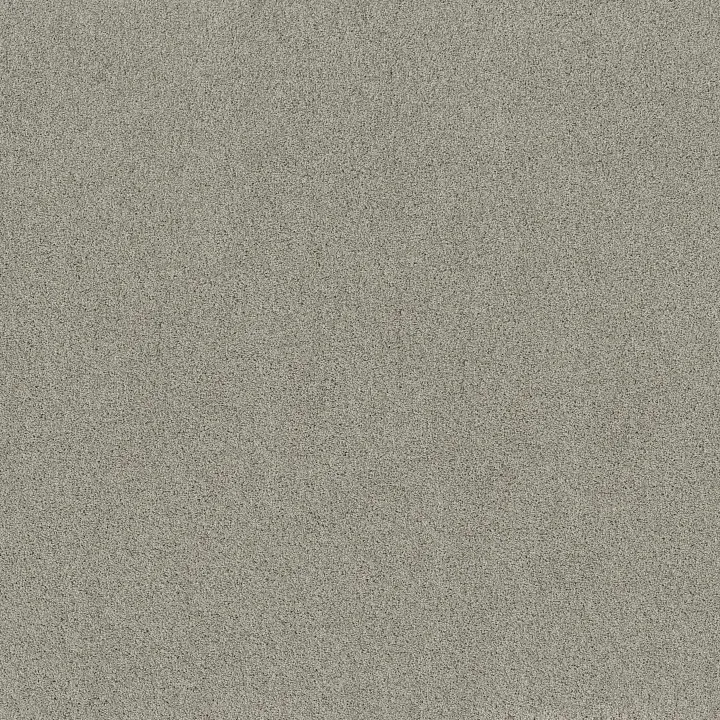 Shaw Floors Acadia Park — Celtic · ZZ044-00523 — flooring selection with LeviArs Design & Remodeling