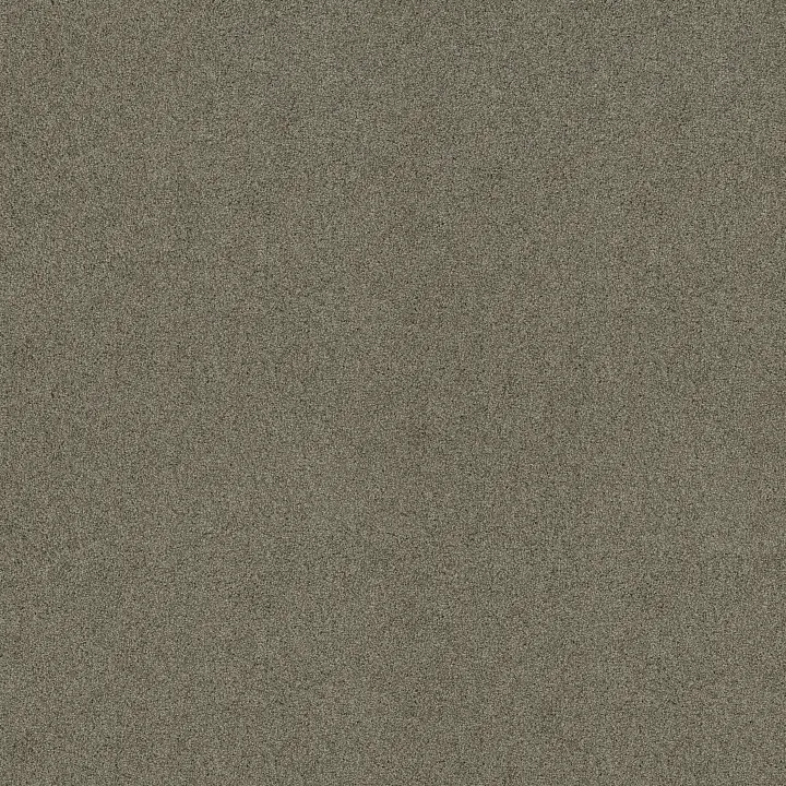 Shaw Floors Acadia Park — City Gray · ZZ044-00558 — flooring selection with LeviArs Design & Remodeling