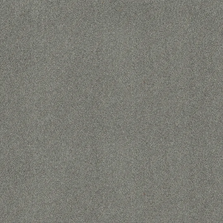 Shaw Floors Acadia Park — Classic Stone · ZZ044-00545 — flooring selection with LeviArs Design & Remodeling