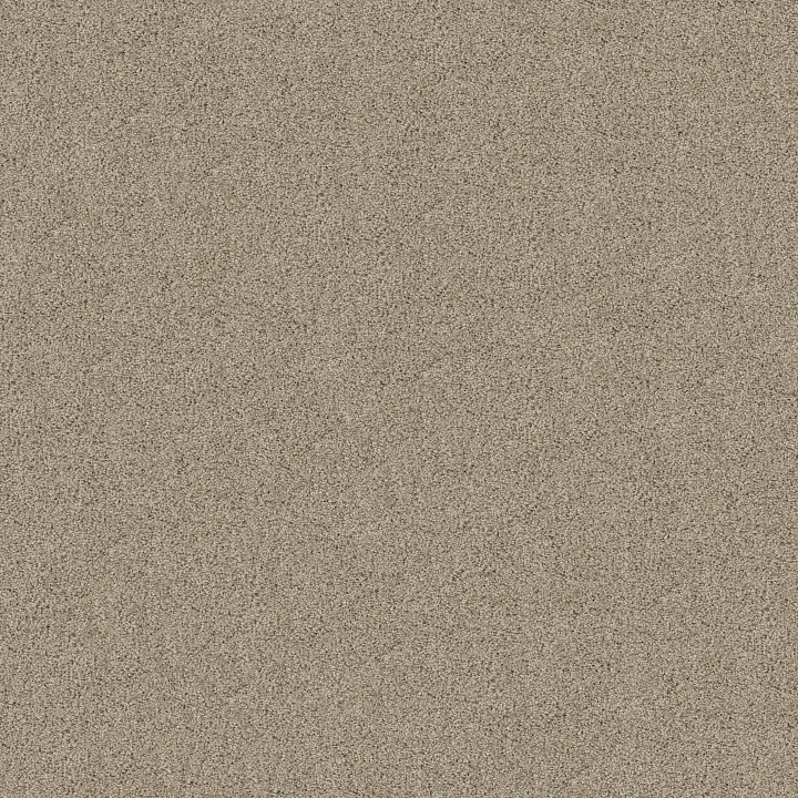 Shaw Floors Acadia Park — Clay · ZZ044-00732 — flooring selection with LeviArs Design & Remodeling