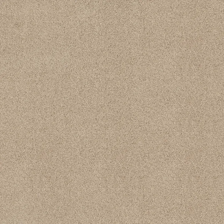 Shaw Floors Acadia Park — Delicate · ZZ044-00113 — flooring selection with LeviArs Design & Remodeling