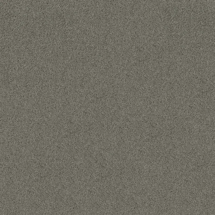 Shaw Floors Acadia Park — Drift · ZZ044-00554 — flooring selection with LeviArs Design & Remodeling