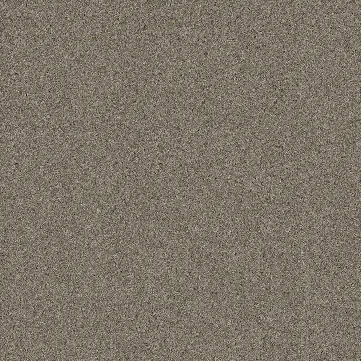 Shaw Floors Acadia Park — Elusive · ZZ044-00537 — flooring selection with LeviArs Design & Remodeling