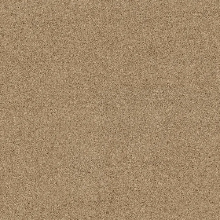 Shaw Floors Acadia Park — Farro · ZZ044-00237 — flooring selection with LeviArs Design & Remodeling