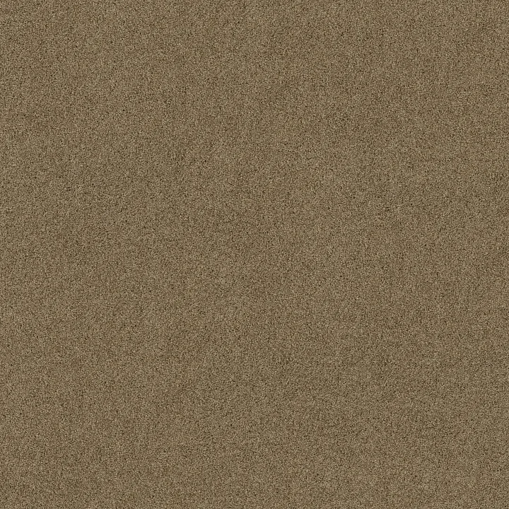 Shaw Floors Acadia Park — Lodge · ZZ044-00736 — flooring selection with LeviArs Design & Remodeling