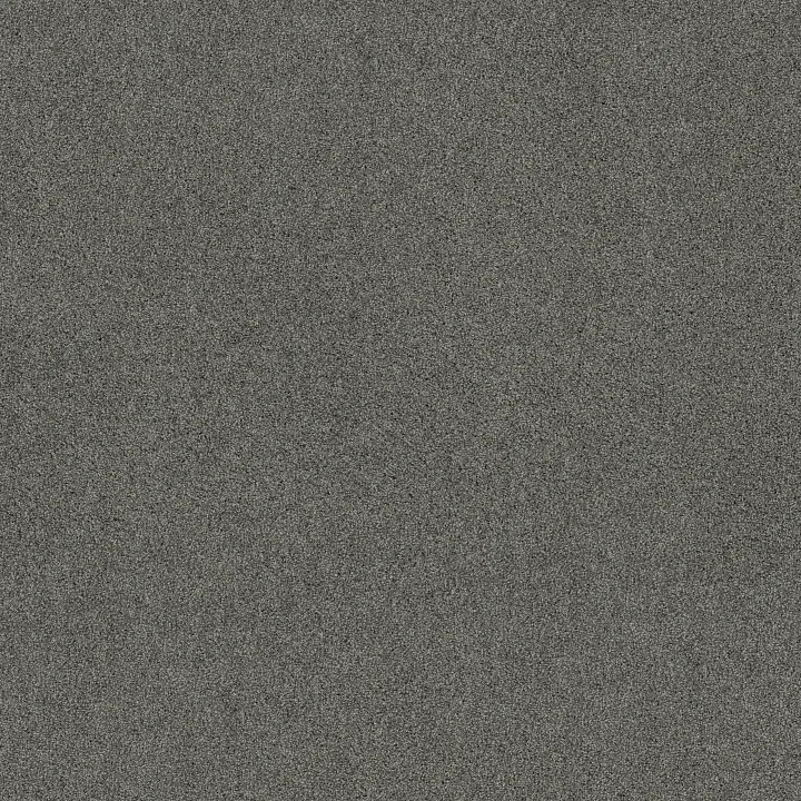 Shaw Floors Acadia Park — Mineralite · ZZ044-00548 — flooring selection with LeviArs Design & Remodeling