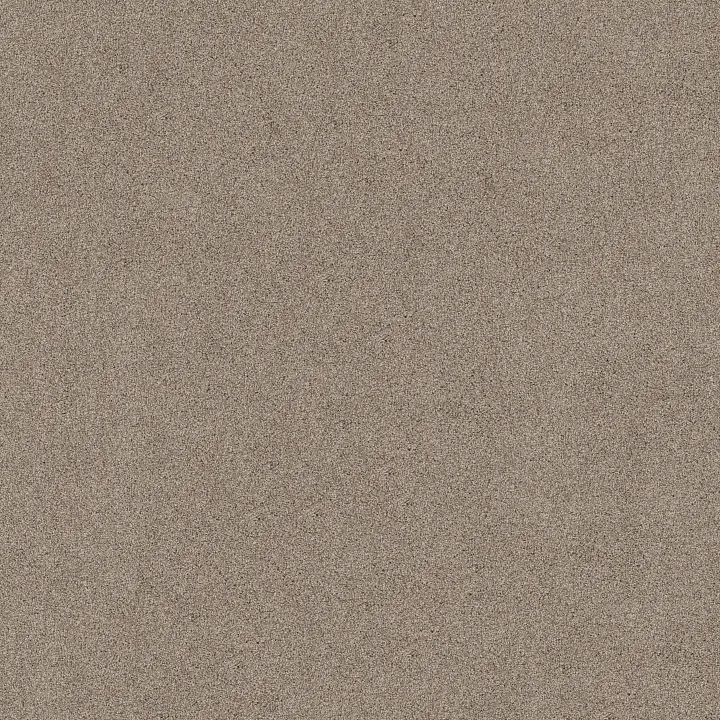 Shaw Floors Acadia Park — Mushroom · ZZ044-00725 — flooring selection with LeviArs Design & Remodeling