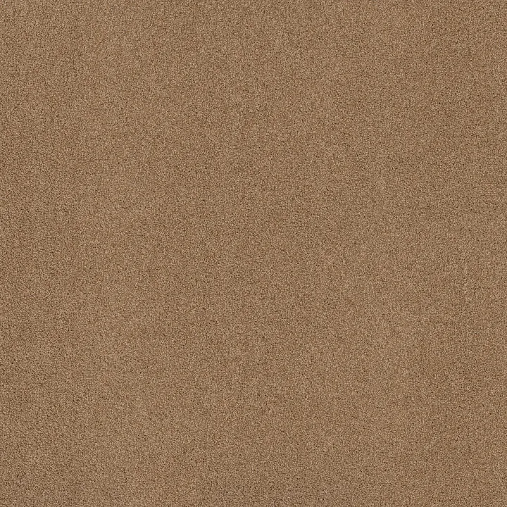 Shaw Floors Acadia Park — Saddle · ZZ044-00228 — flooring selection with LeviArs Design & Remodeling
