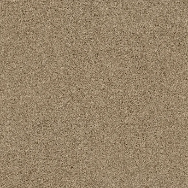 Shaw Floors Acadia Park — Serengeti · ZZ044-00733 — flooring selection with LeviArs Design & Remodeling