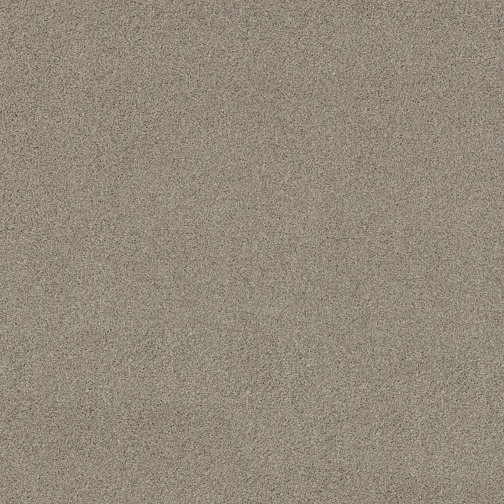 Shaw Floors Acadia Park — Shadow · ZZ044-00534 — flooring selection with LeviArs Design & Remodeling