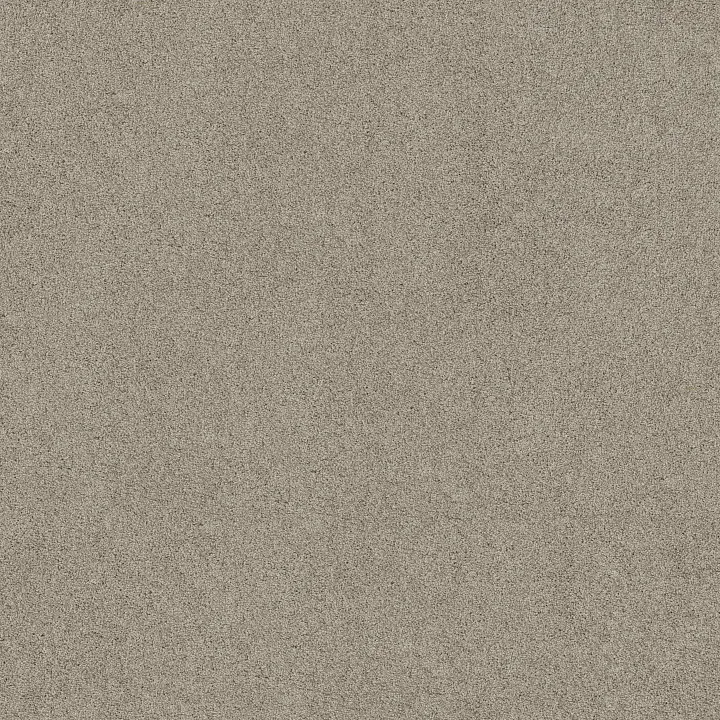 Shaw Floors Acadia Park — Shale · ZZ044-00512 — flooring selection with LeviArs Design & Remodeling