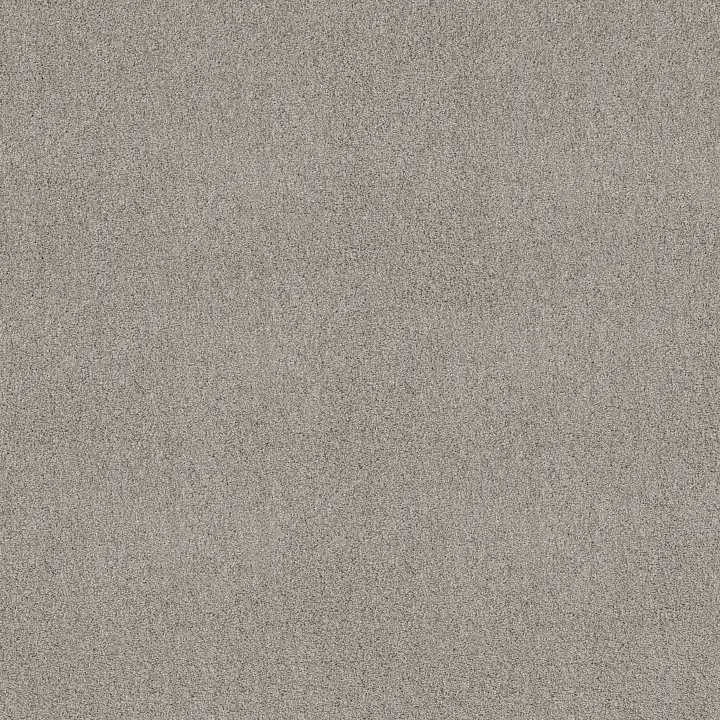 Shaw Floors Acadia Park — Silver Screen · ZZ044-00542 — flooring selection with LeviArs Design & Remodeling