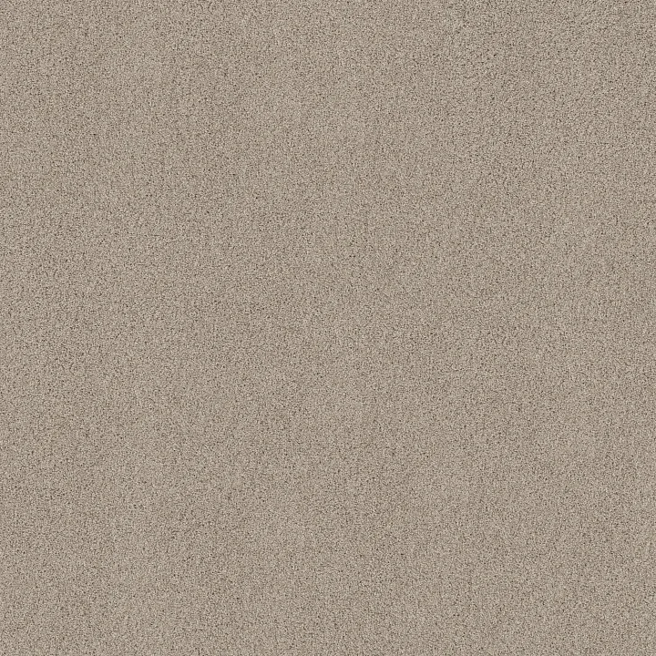 Shaw Floors Acadia Park — Smoky Suede · ZZ044-00712 — flooring selection with LeviArs Design & Remodeling