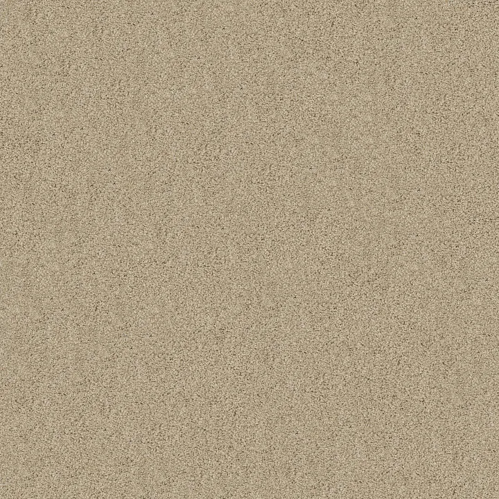 Shaw Floors Acadia Park — Softer Tan · ZZ044-00123 — flooring selection with LeviArs Design & Remodeling