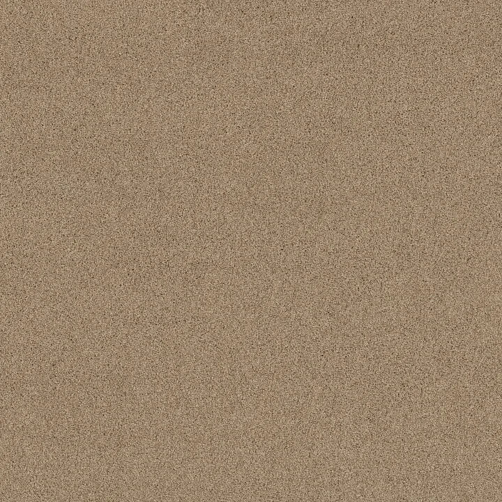 Shaw Floors Acadia Park — Wicker · ZZ044-00273 — flooring selection with LeviArs Design & Remodeling