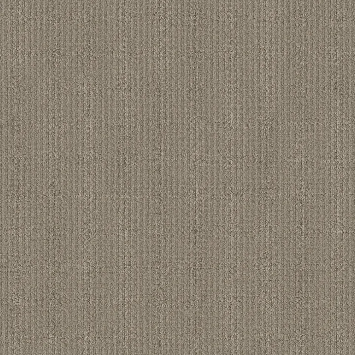 Shaw Floors Aerial Arts — Artisan Taupe · 5E040-00700 — flooring selection with LeviArs Design & Remodeling