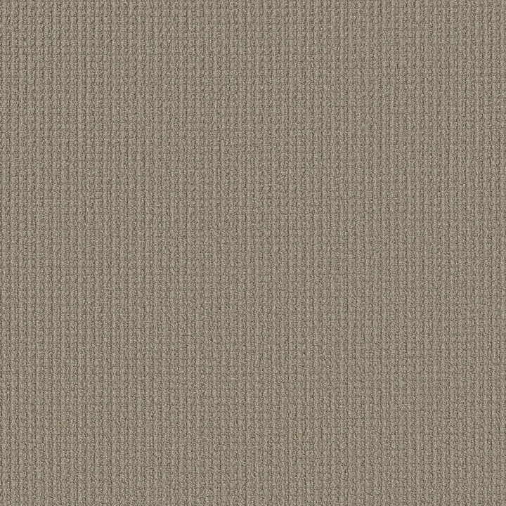 Shaw Floors Aerial Arts — Burnished Clay · 5E040-00701 — flooring selection with LeviArs Design & Remodeling