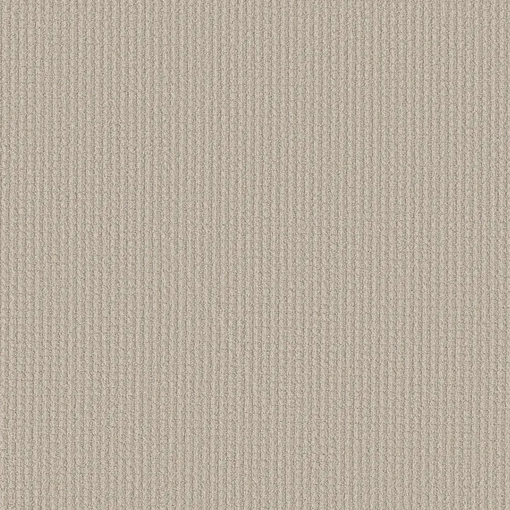 Shaw Floors Aerial Arts — Canvas · 5E040-00103 — flooring selection with LeviArs Design & Remodeling