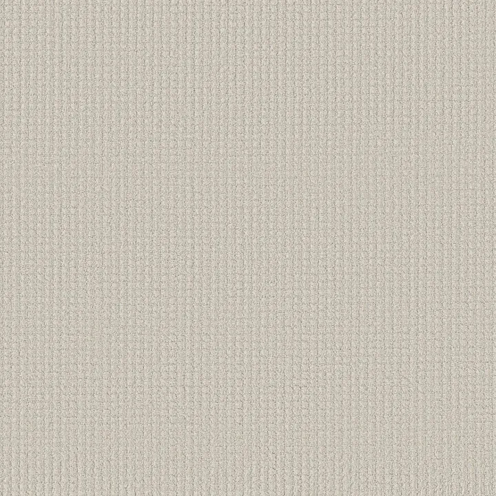 Shaw Floors Aerial Arts — Cotton · 5E040-00100 — flooring selection with LeviArs Design & Remodeling